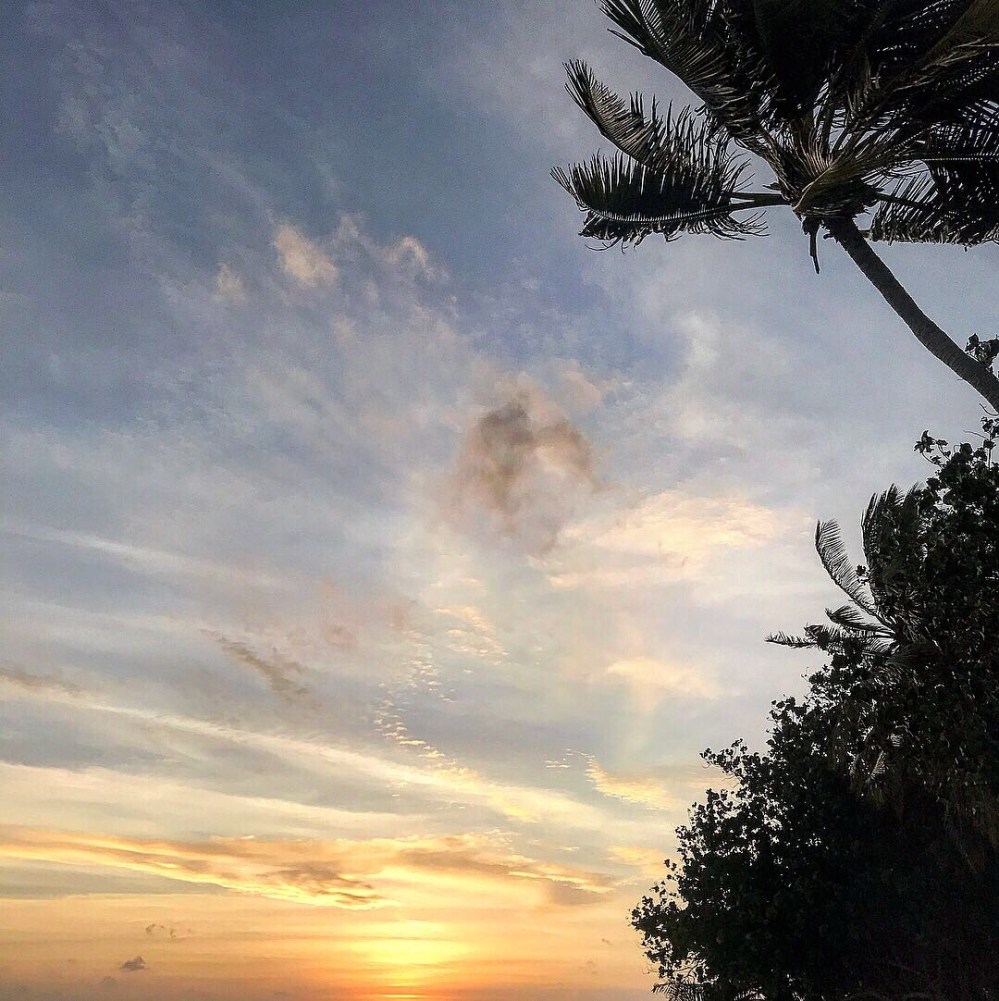 2c617990-4d66-4f29-998e-32582fa1eddf