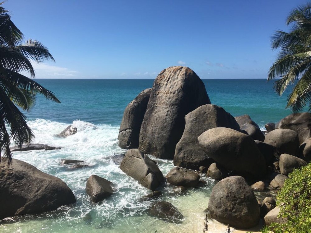 a03bf794-5bf5-4dcd-9e97-c040bbc1ceaa