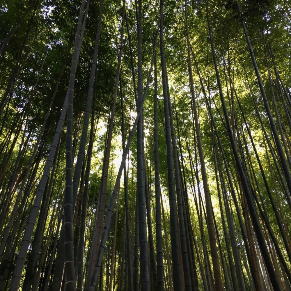 a06c6340-bc37-4a67-bf71-96d8e97e6f31