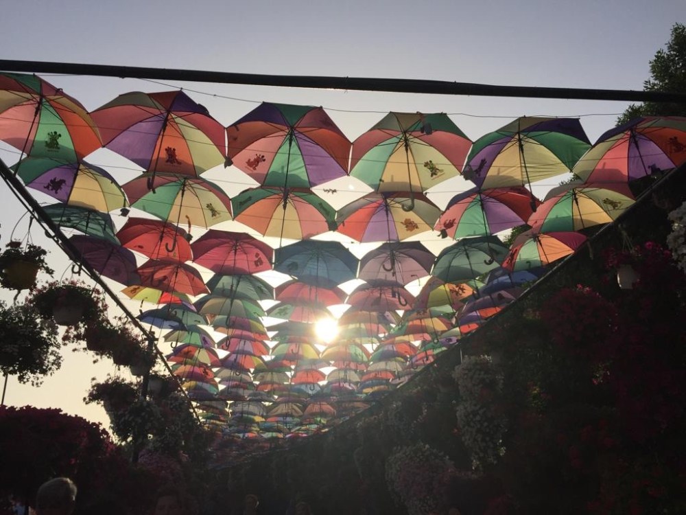 21aa9207-0b6b-4bef-b6b4-e9aa8ff7194c