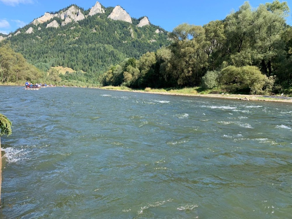 bf442bcb-8e7c-41bd-b540-b1cc0c55b174